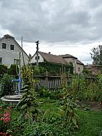 Třibřichy